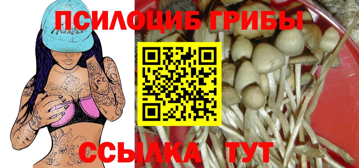 Зерноград  Псилоцибиновые грибы Psilocybine cubensis  Галлюциногенные грибы Psilocybine cubensis  Вход с VPN 